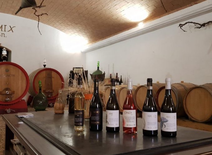 Az. De Sanctis wine tour